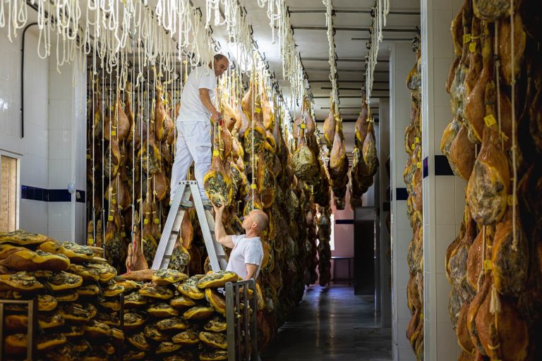 La Solera Selecci¢n Web 19 min 768x512