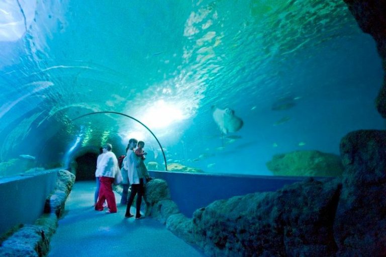 acuario almunecar 0 768x511