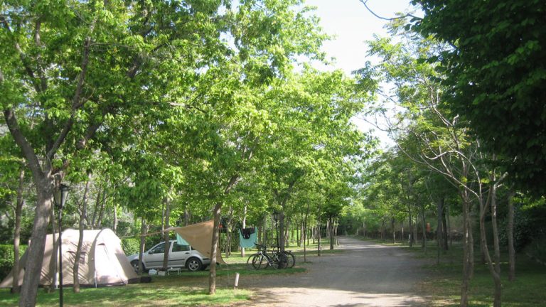 camping trevelez1 768x432