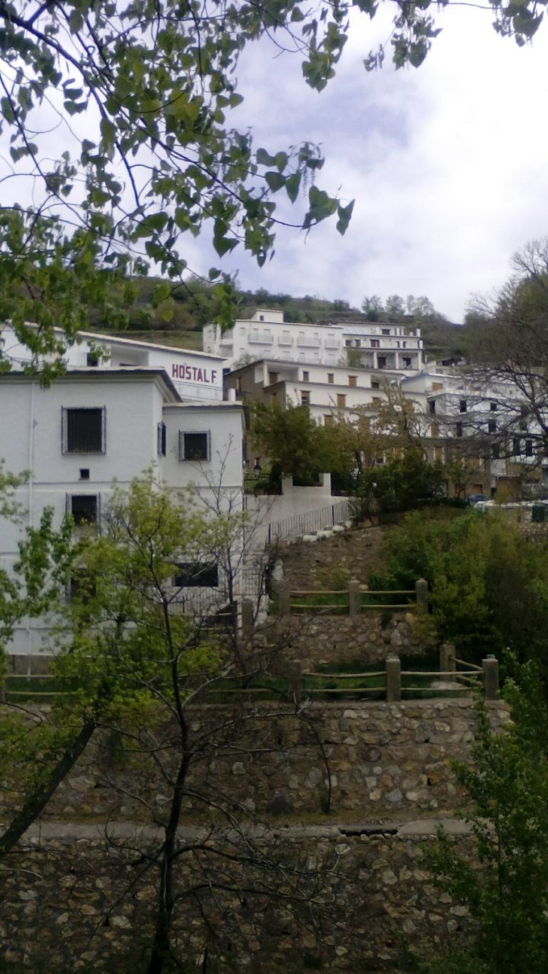 18077097 104523543447465 2327523644484240493 o 768x1365