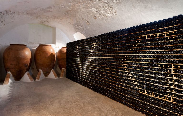 273713471 346192824178459 7293904967077674915 n 768x488