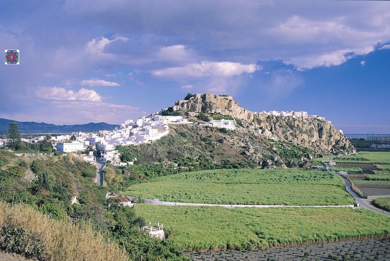 SALOBREÑA SUBTROPICAL SALOBREÑA0332 768x514